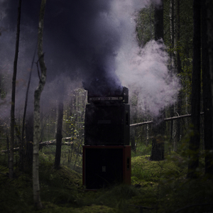 Метла и пёсья голова