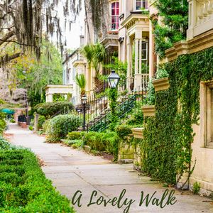 Rain Sound - Sleeping Sounds