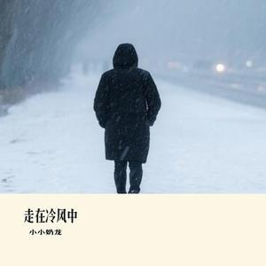 走在冷风中 (Cover 刘思涵)