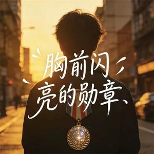 胸前闪亮的勋章