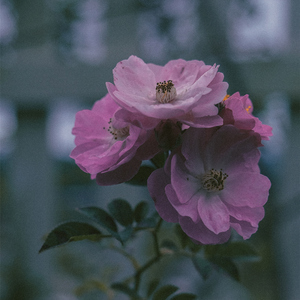 Tháng năm đó ai trả lại cho chúng ta (Beat)