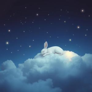 Silent Cloud Dreams, Vol. 1