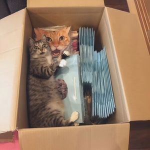 听你的歌让我想到毕业了