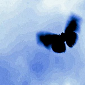 雨（prod.MORROW）