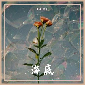 海底（抖音完整版）（翻自 一支榴莲）