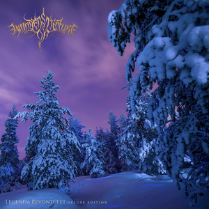 Linnunrata (Synth Version)