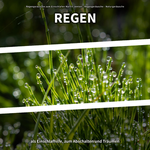 Lesen am Morgen