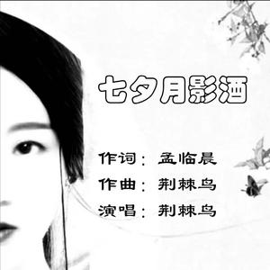 七夕月影酒WAV