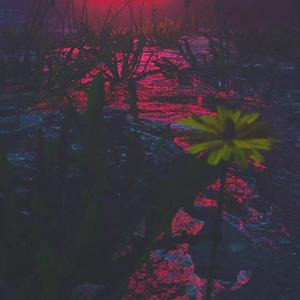 出局 prod by 黑泡大佬