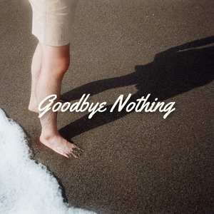 Goodbye Nothing