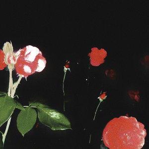 Saucy（翻自SISTER19）