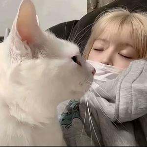 美国