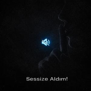 Sessize Aldım