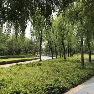 城市有你 城市有我