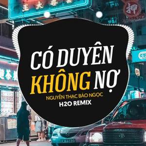 Có Duyên Không Nợ (Remix Vinahouse)