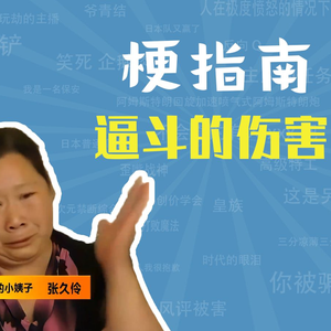 逼斗的伤害是什么梗【梗指南】