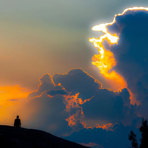 阿尔兹海默的爱