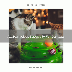 Waves Whispers Especially For Home Cats