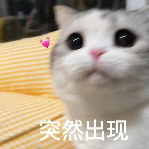 遇见