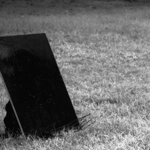 BYEBYE！⁎⁍̴̛ᴗ⁍̴̛⁎！