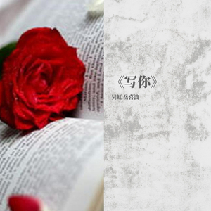 写你