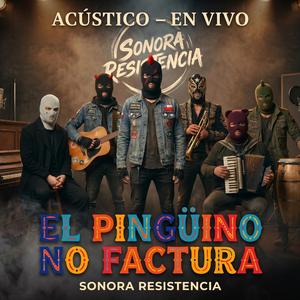 El pingüino no factura, acústico, en vivo