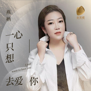 一心只想去爱你 (DJ默涵版伴奏|伴奏)