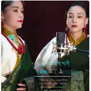 珠毛措《故乡的草原》