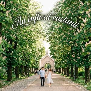 Au înflorit castanii