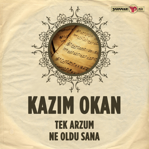 Tek Arzum