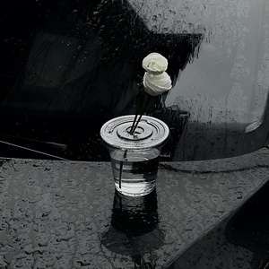 云散之后  只留下风说着思念