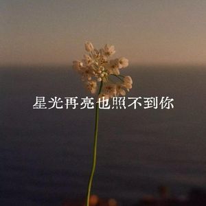 星光再亮也照不到你