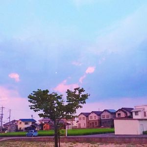 水蜜桃味陷阱（Prod.by 房间里的大象）