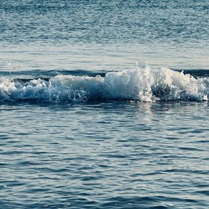 香油爆炒角瓜（demo）