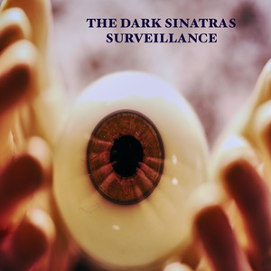 Surveillance