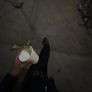 T.M.W.Y.L.