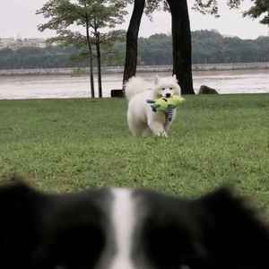 还没按下的发送键