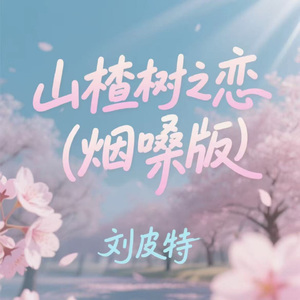 山楂树之恋 (烟嗓版)