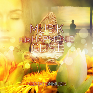 Six Grandes Marches, Op. 40, D. 819, No. 4 in D Major: IV. Allegro maestoso (String Quartet Version)