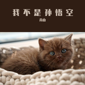 我不是孙悟空(DJ版)