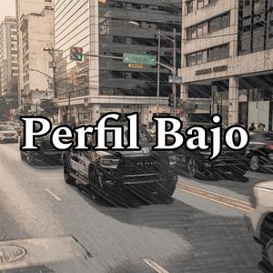 Perfil Bajo