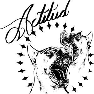 Actitud