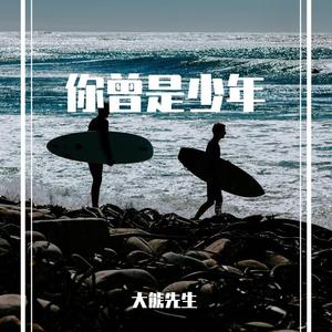 你曾是少年