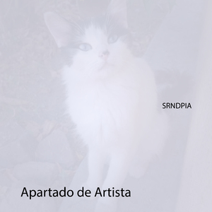 Apartado De Artista
