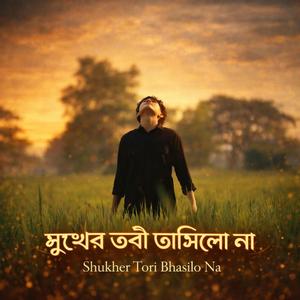 সুখের তরী ভাসিলো না