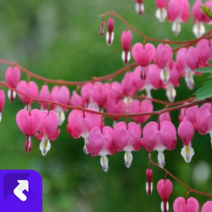 你也照顾好自己 (现场)