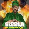 Sizzla Kalonji - Burn It Down (In Dub)