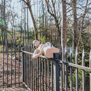 On the Fence