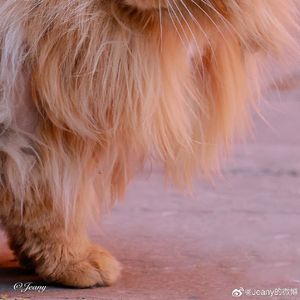 与你共朝晖灿烂