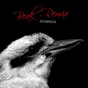 Beak (Remix)